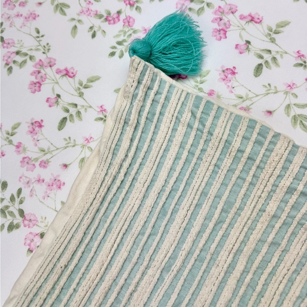 Pier 1 Mint & Ivory Woven Striped Decorative Throw Pillow‎ Case with Tassels